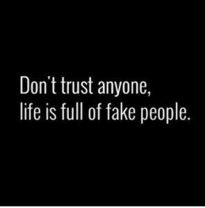 dont trust anyone dp